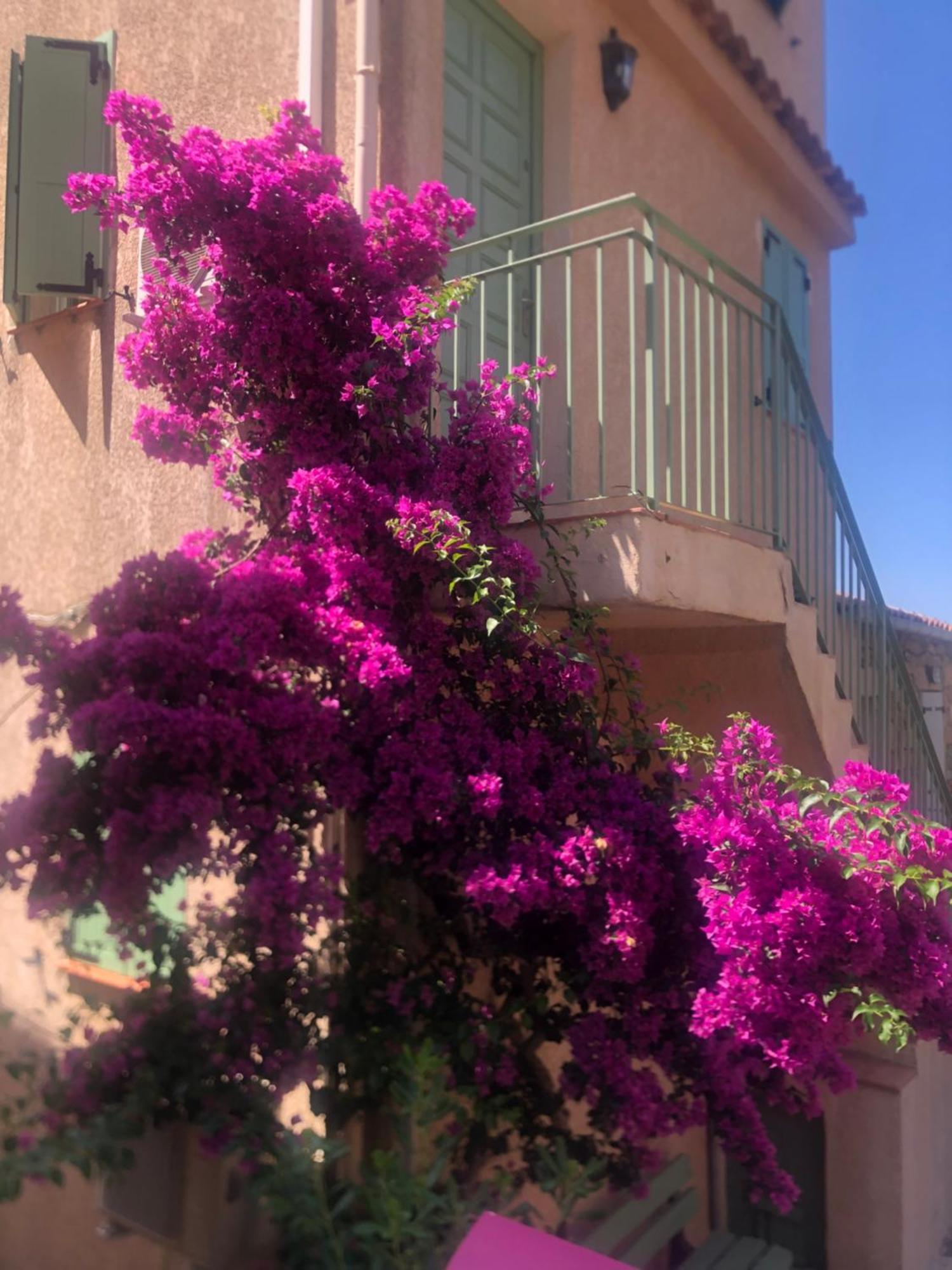 Piana - Vue Mer Et Village Exterior foto